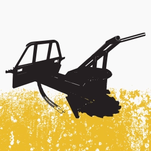 Tree, Stump & Root Removal